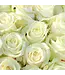 Verse witte rozen - EXCLUSIEF - Lengte ± 70 centimeter - Per 10 stuks te bestellen