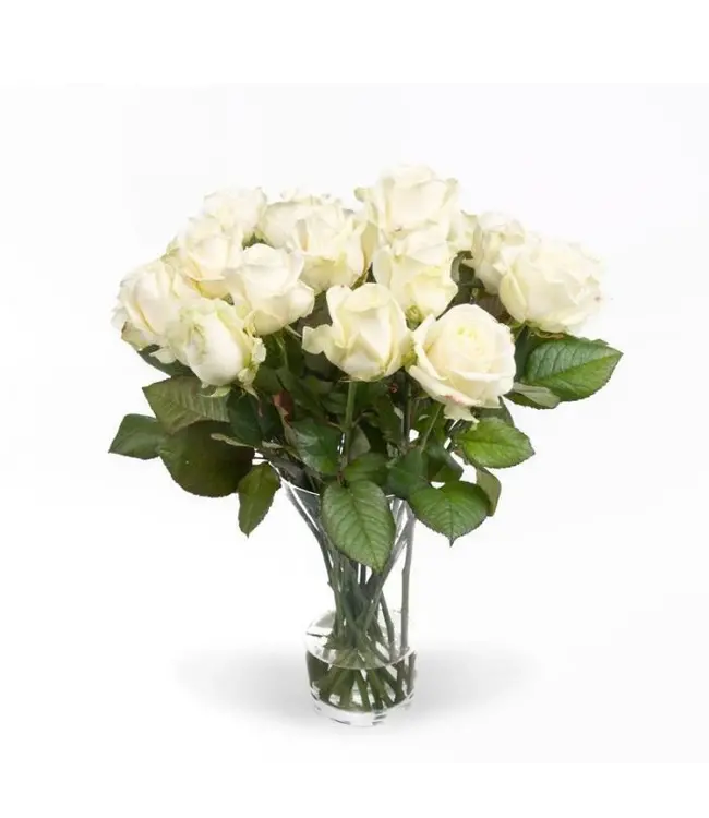 Verse witte rozen - EXCLUSIEF - Lengte ± 70 centimeter - Per 10 stuks te bestellen