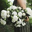 White peonies "Duchesse de Nemours" | Can be ordered per bunch of 10 peonies