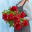 Red peonies "Red Charm" | Per bunch of 10 peonies to order