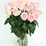 Verse lichtroze rozen - PRIJSPAKKER - Lengte ± 60 centimeter - Per 10 stuks te bestellen