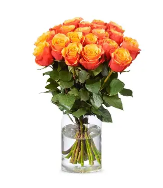 Florimo Fresh Flowers Frische orange-gelbe Rosen – ANGEBOTSSCHLAGER – Länge ± 60 Zentimeter – Pro 10 Stück
