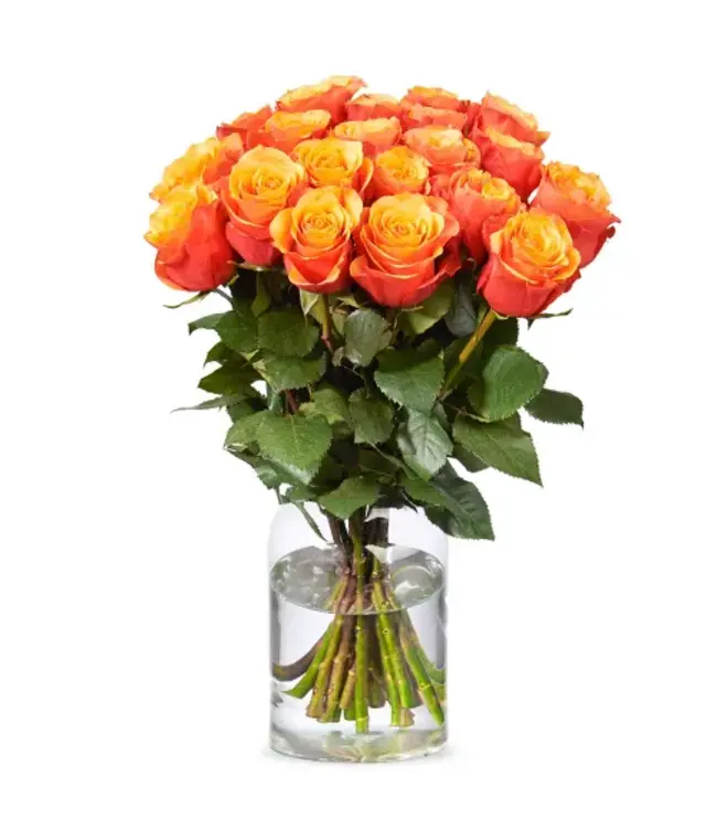 Verse oranje-gele rozen - PRIJSPAKKER - Lengte ± 60 centimeter - Per 10 stuks te bestellen