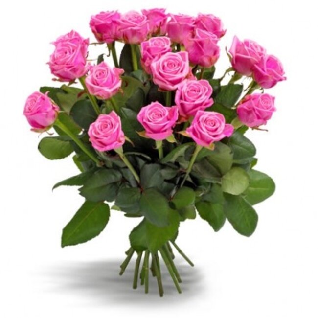 Verse donkerroze rozen - PRIJSPAKKER - Lengte ± 60 centimeter - Per 10 stuks te bestellen