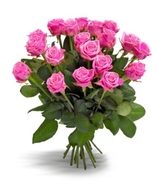 Verse donkerroze rozen - PRIJSPAKKER - Lengte ± 60 centimeter - Per 10 stuks te bestellen