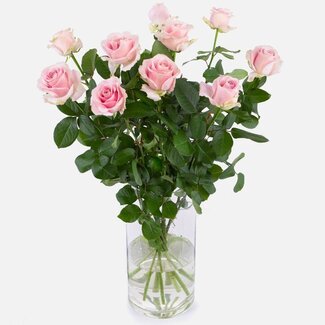 Florimo Fresh Flowers Verse roze rozen - PRIJSPAKKER - Lengte ± 60 centimeter - Per 10 stuks