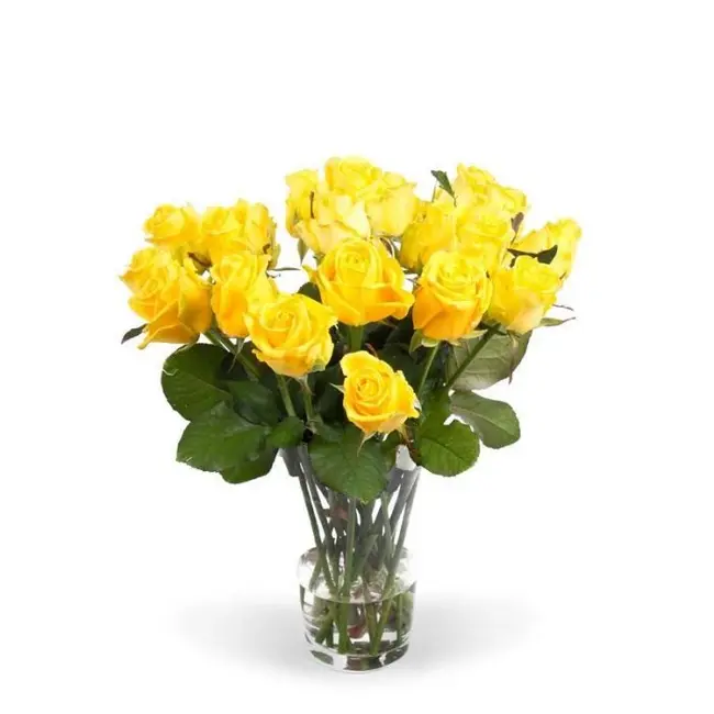 Fresh yellow roses - HOT DEAL - Length ± 60 centimeters - Can be ordeyellow per 10 pieces