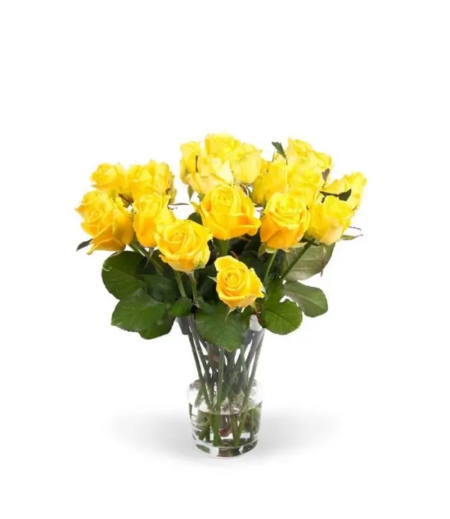 Frische gelbe Rosen – ANGEBOTSSCHLAGER – Länge ± 60 Zentimeter – Kann pro 10 Stück bestellt werden - Copy