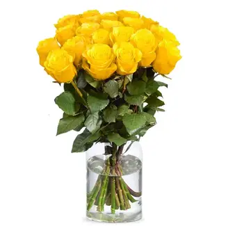 Florimo Fresh Flowers Frische gelbe Rosen – ANGEBOTSSCHLAGER – Länge ± 60 Zentimeter – Pro 10 Stück