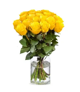 Florimo Fresh Flowers Verse gele rozen - PRIJSPAKKER - Lengte ± 60 centimeter - Per 10 stuks