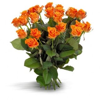 Florimo Fresh Flowers Verse oranje rozen - PRIJSPAKKER - Lengte ± 60 centimeter - Per 10 stuks