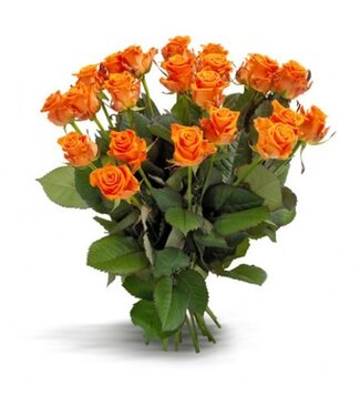 Florimo Fresh Flowers Verse oranje rozen - PRIJSPAKKER - Lengte ± 60 centimeter - Per 10 stuks