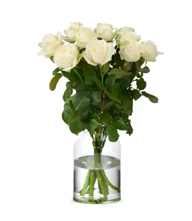 Frische weiße Rosen – ANGEBOTSSCHLAGER – Länge ± 60 Zentimeter – Kann pro 10 Stück bestellt werden - Copy