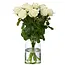 Verse witte rozen - PRIJSPAKKER - Lengte ± 60 centimeter - Per 10 stuks te bestellen