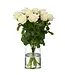 Florimo Fresh Flowers Frische weiße Rosen – ANGEBOTSSCHLAGER – Länge ± 60 Zentimeter – Pro 10 Stück