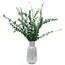 Florimo Fresh Flowers Verse Eucalyptus Baby Blue | 350 - 400 gram per bos | Lengte 65 - 70 centimeter | Per bos