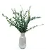 Florimo Fresh Flowers Verse Eucalyptus Baby Blue | 350 - 400 gram per bos | Lengte 65 - 70 centimeter | Per bos