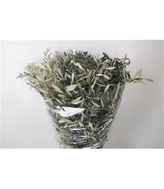 Florimo Fresh Flowers Olijf Per Bunch 400 Gram ( x 5 )
