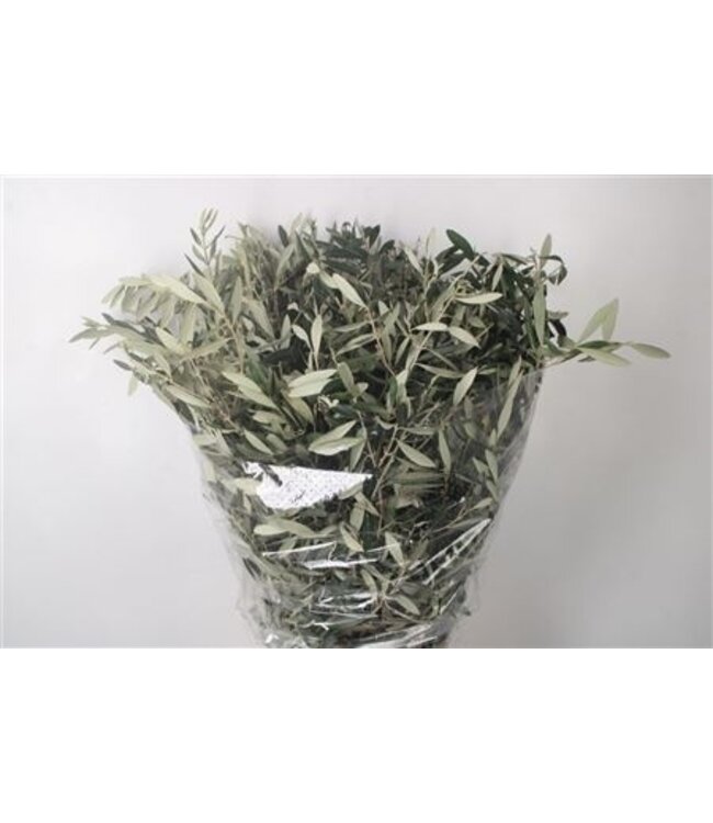 Olijf Per Bunch 400 Gram ( x 5 )