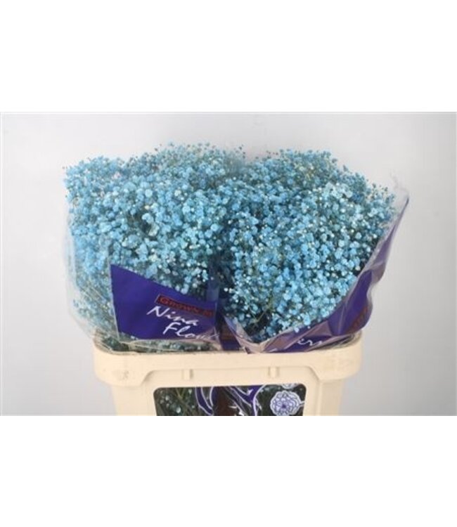 Gyps Klb Rainbow Blueberry Ice ( x 25 )