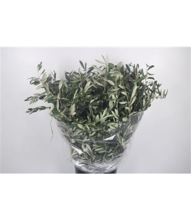 Olijf Per Bunch 200 Gram ( x 5 )