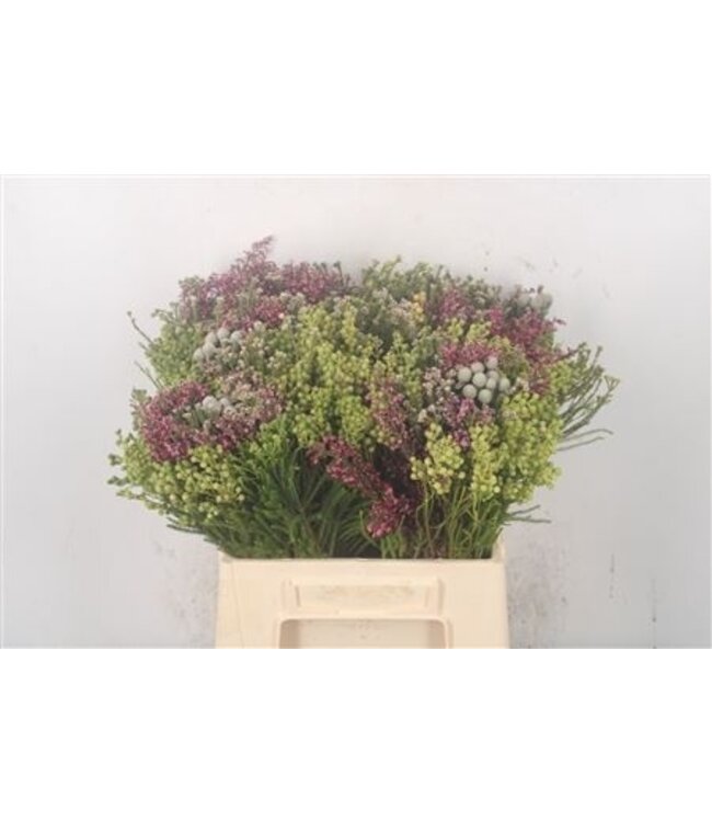 Kaaps Mix Per Bunch ( x 1 )