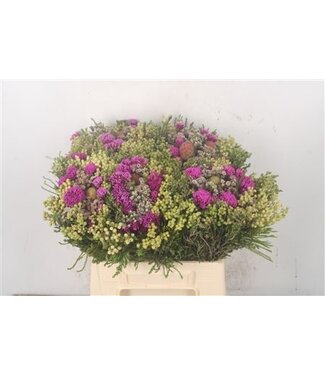 Florimo Fresh Flowers Kaaps Mix Per Bunch Tinted ( x 1 )