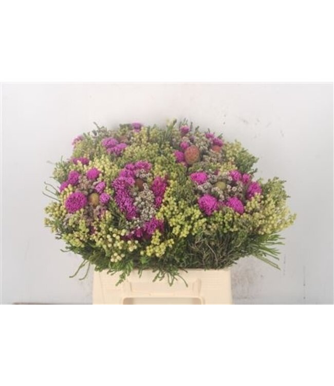 Kaaps Mix Per Bunch Tinted ( x 1 )