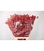 Stabi Beuk Red Per Bunch ( x 5 )