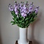 Frische Levkojen | Matthiola Incana Premium Lavendel | Länge ± 65 Zentimeter | Pro 10 Blumen bestellbar