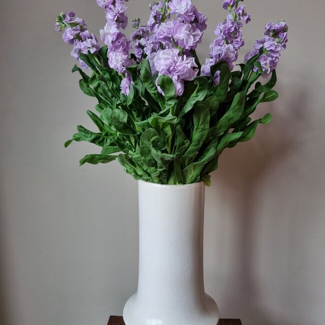 Fresh Stock | Matthiola Incana Premium Lavender | Length ± 65 centimeters | Available per 10 flowers