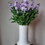 Frische Levkojen | Matthiola Incana Premium Lavendel | Länge ± 65 Zentimeter | Pro 10 Blumen bestellbar