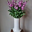 Verse Violieren | Matthiola Incana Premium Pink | Lengte ± 70 centimeter  | Per 10 bloemen te bestellen