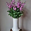 Frische Levkojen | Matthiola Incana Premium Pink | Länge ± 70 Zentimeter | Pro 10 Blumen bestellbar