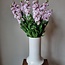 Frische Levkojen | Matthiola Incana Hellrosa | Länge ± 65 Zentimeter | Pro 10 Blumen bestellbar