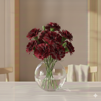 Florimo Fresh Flowers Red and White Dianthus or Carnations | Length 70 centimeters | Dianthus Wine Cover | Per 20 fresh flowers