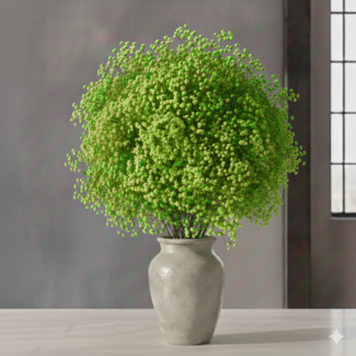 Florimo Fresh Flowers Frische apfelgrüne Gypsophila paniculata | apfelgrüne Gypsophila paniculata Xlence | 40 Gramm | 25 Zweige pro Strauß | pro Strauß