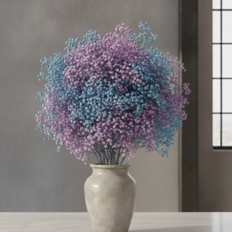 Florimo Fresh Flowers Vers regenboog Violet mix Gipskruid | Rainbow roze en paarse Gypsophila paniculata Xlence | 40 gram | 25 takken per bos