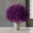 Fresh purple Gypsophila herb | Purple Gypsophila paniculata Xlence | 40 grams | 25 branches per bunch | Order per bunch