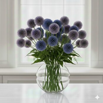 Echinops