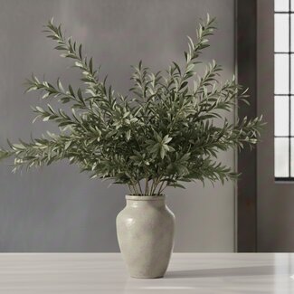 Florimo Fresh Flowers Fresh Olive branches | 350 - 400 grams per bunch | Length 65 - 70 centimetres | Per bunch