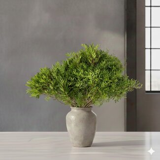 Florimo Fresh Flowers Fresh Pistacia | Pistachio Green | 50 cm | 5 bunches (50 stems)