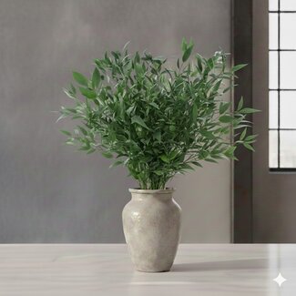 Florimo Fresh Flowers Fresh Italian Ruscus | Length 65 centimetres | Per 200 grams