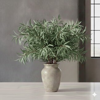 Florimo Fresh Flowers Frischer Eucalyptus Nicollii | 300 Gramm pro Strauß | Länge 65 - 70 Zentimeter | Pro Strauß