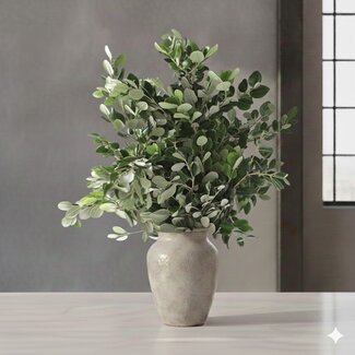 Florimo Fresh Flowers Fresh Pittosporum Ralphi branches | Length 60 centimetres | Per 400 grams