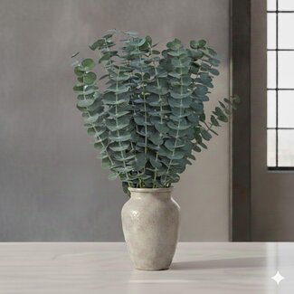 Florimo Fresh Flowers Fresh Eucalyptus Baby Blue | 350 - 400 grams per bunch | Length 65 - 70 centimetres | Per bunch