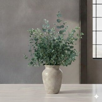 Florimo Fresh Flowers Frischer Eucalyptus Gunnii | 300 Gramm pro Strauß | Länge 65 - 70 Zentimeter | Pro Strauß