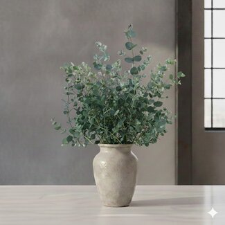 Florimo Fresh Flowers Verse Eucalyptus Gunnii | 300 gram per bos | Lengte 65 - 70 centimeter | Per bos