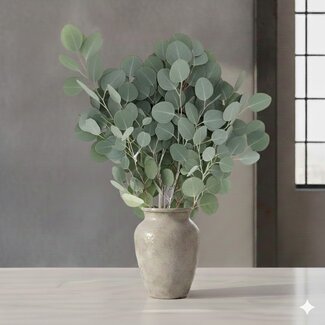 Florimo Fresh Flowers Frischer Eukalyptus Populus | 300 Gramm pro Strauß | Länge 65 - 70 Zentimeter | pro Strauß