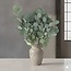 Florimo Fresh Flowers Verse Eucalyptus Populus | 300 gram per bos | Lengte 65 - 70 centimeter | Per bos